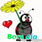 bom dia