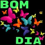  Dom
ia