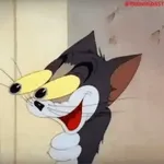 Maravilha !!!