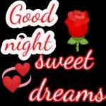 good night sweetie