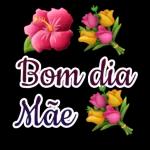 Bom dia