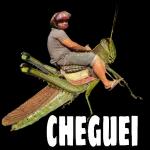 A PAZ DO SENHOR JESUS