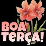 gracas a deus2