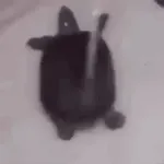Estado espiritual 