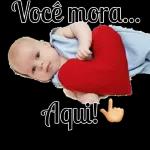 novo 2