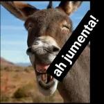 fofoca
