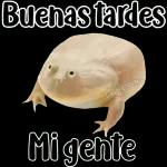 🐸Sapo Feliz Dia 🐸