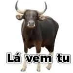 Equem é tu msm na filla do pão? 