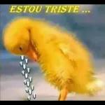 ME DESCULPA