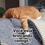 A coisa não dispiora nunca.