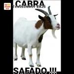 ESSA É A META