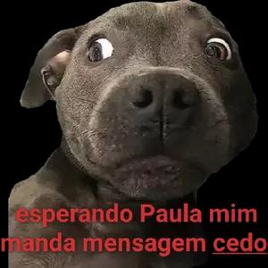 MZBxjK