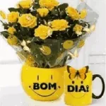 BOM DIA!