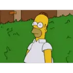 memes 