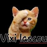 Vixi
