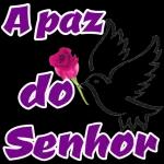 Quero apenas a presença de Deus comigo, em cada passo que eu der e em cada adversidade que eu enfrentar. Que Ele seja minhaFORÇA, meu ESCUDO minha PROTEÇÃO Todas as horas do dia. Cecilia Sfalsin Bom Dia!