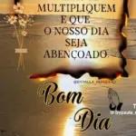 Multiplique o amor e que o nosso dia seja abençoado. Bom dia!
