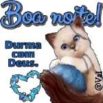  Boa Tarde