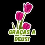 graça