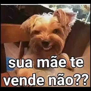 sua mãe te vende não?? - getsticker.com
