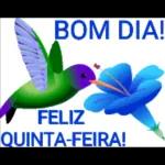 Quinta-feira 