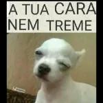 nildo
