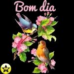 DA PARTE DE QUEM?