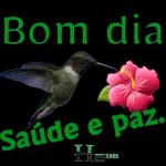 Bom dia
