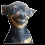 bbbbfdsw