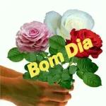 bom dia🫦🫦🫦🫦