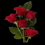 Votre ami a retiré un message