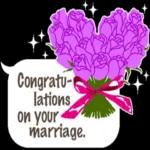 Belle journée Mille Bisous