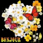 BONJOUR
ThrovoLib.