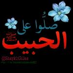 je t'aime de tout mon