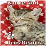BISOUS