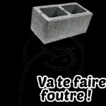 Va te faire foutre