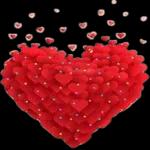 Je t'aime
