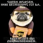 BONJOUR
PAGE L'ORIGCTAIT UNE CONS
BON WAGON