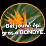 très très très bien 