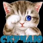 CKYYAKO