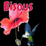 اللهم إنك عفو کریم تحب العفو فاعف عنا