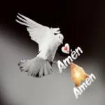 Amén
Amen
