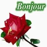 Bonjour ❤️