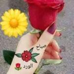 اللهم صل على
محمد وآل محمد