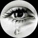 je t'aime trois mille fois