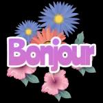 Bonjour!