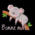 fd34
Bonne nuit