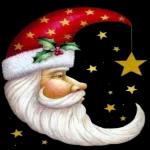 BON REVEILLON ET JOYEUX NOEL Bisons