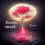 bonne nuit