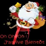 BONREVEILLONETJOYEUX NOELBisons